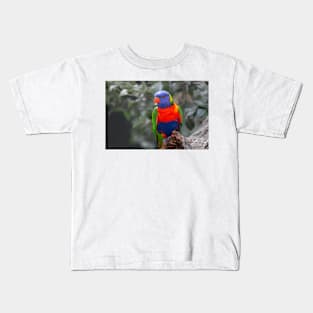 Highly colourful rainbow lorikeet on branch Kids T-Shirt